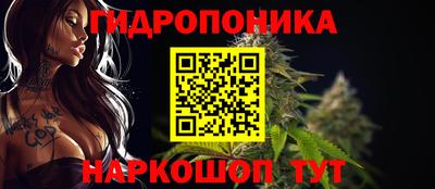 прущие крисы Аша