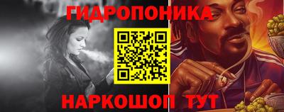 прущие крисы Аша