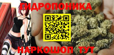 прущие крисы Аша