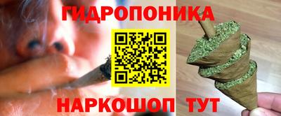 прущие крисы Аша