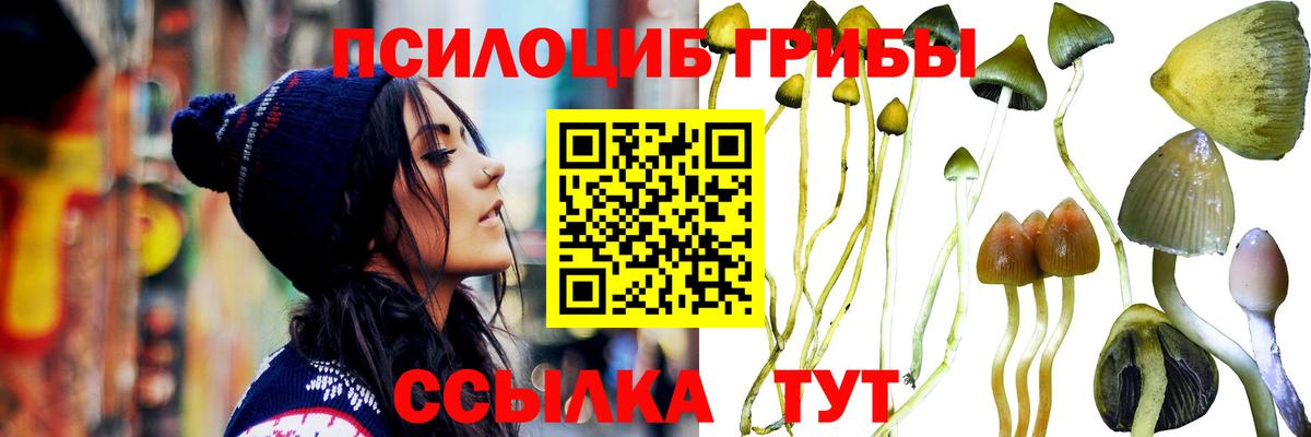Галлюциногенные грибы GOLDEN TEACHER Горячий Ключ